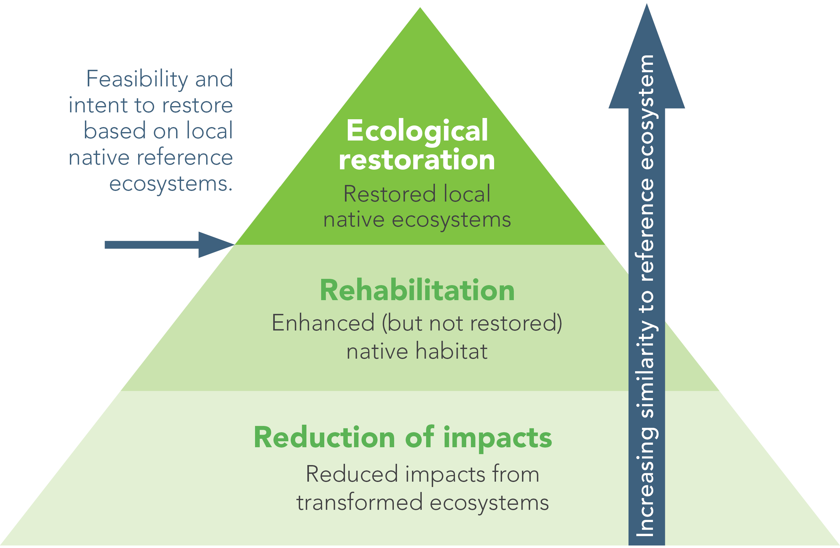 Ecological restoration practice is based on an appropriate local